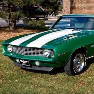 Meet your Posher, Barry